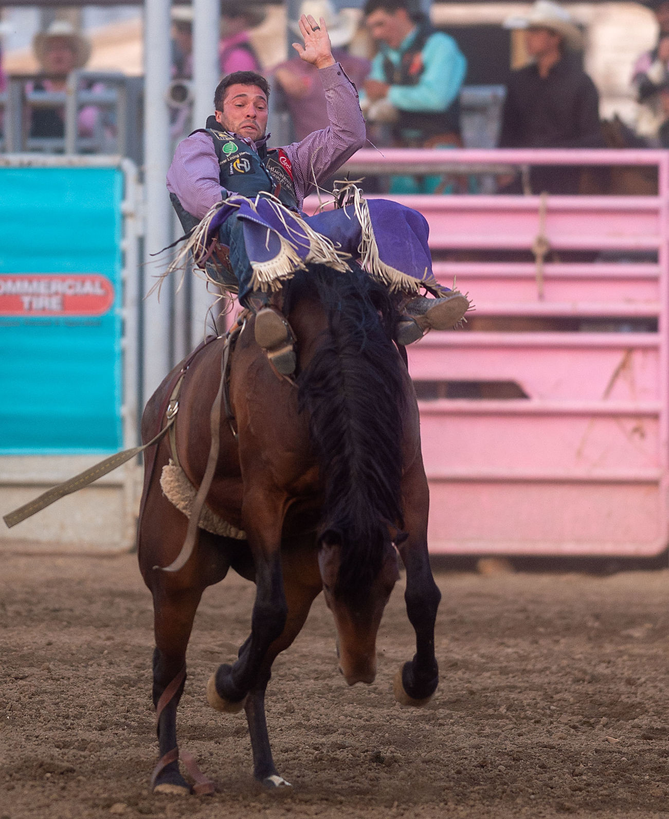 Magic Valley Stampede full of thrills